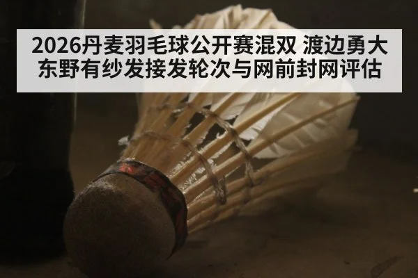 2026丹麦羽毛球公开赛混双 渡边勇大东野有纱发接发轮次与网前封网评估